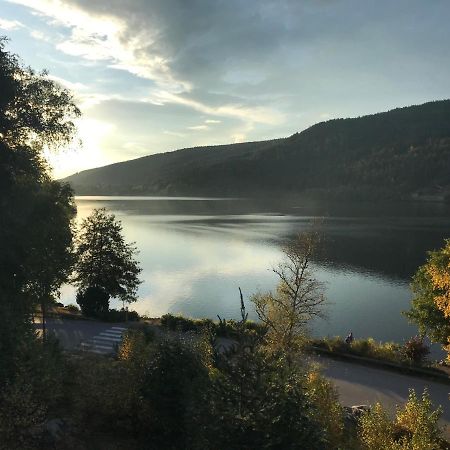 Le Deux Pieces Apartment Gérardmer Екстериор снимка