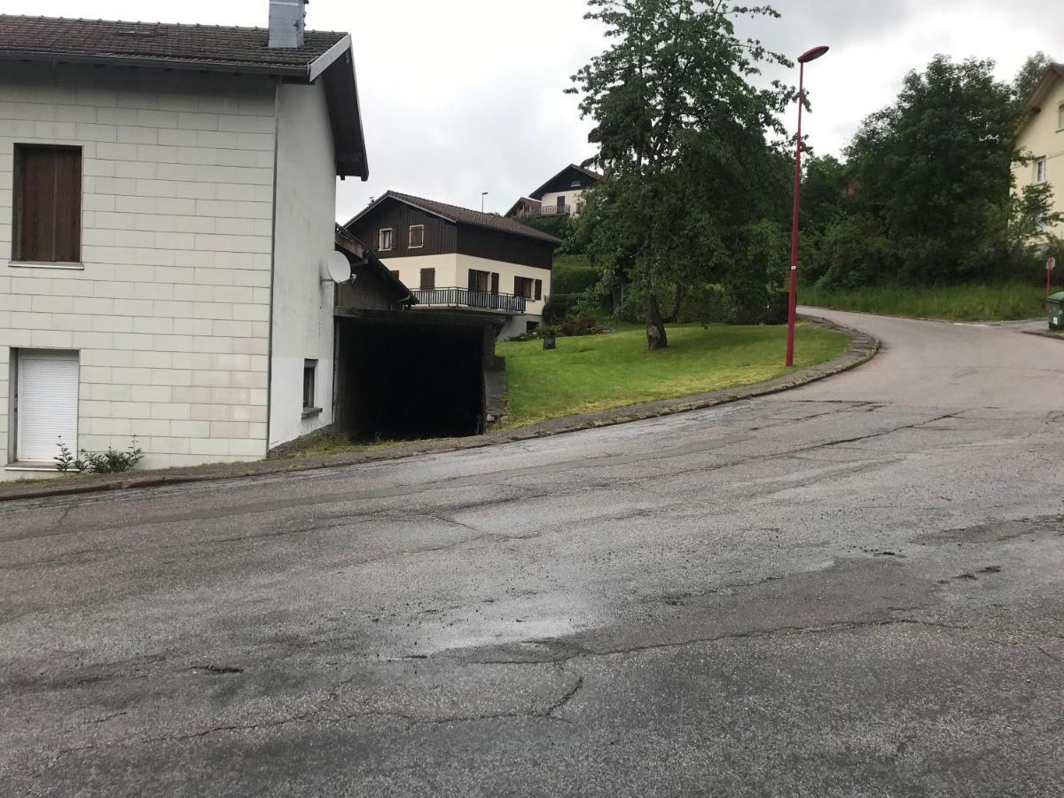 Le Deux Pieces Apartment Gérardmer Екстериор снимка
