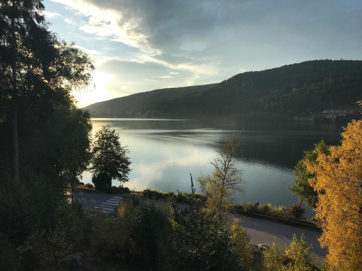 Le Deux Pieces Apartment Gérardmer Екстериор снимка